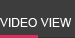 Video view