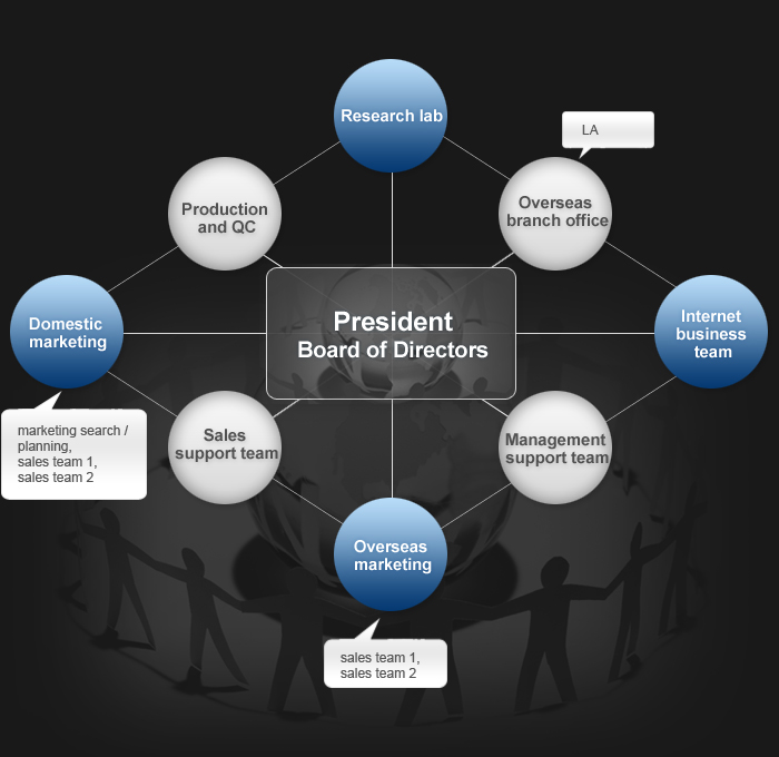 President, Board of Directors, Research lab, Production and QC, Domestic marketing: marketing search / planning, sales team 1, sales team 2, Overseas marketing:  sales team 1, sales team 2, Sales support team, Management support team, Internet business team, Overseas branch office: LA